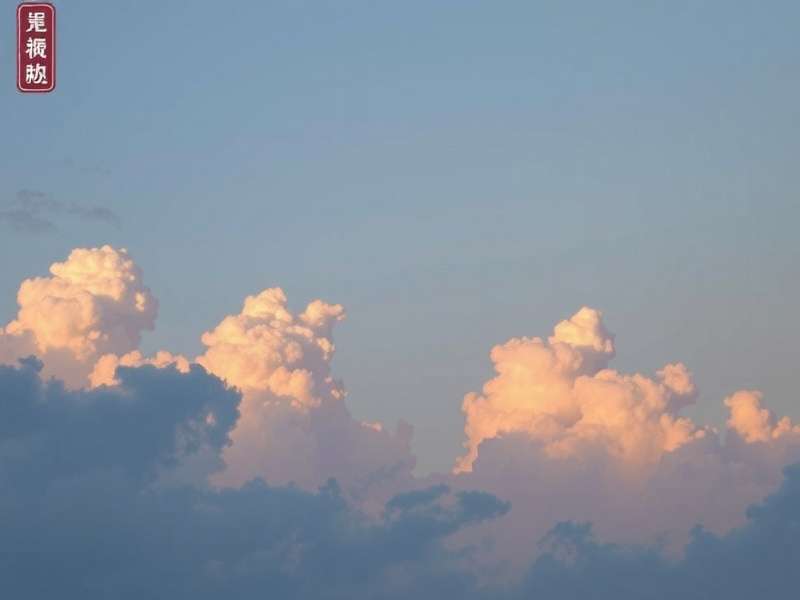 公司创始人兼CEO